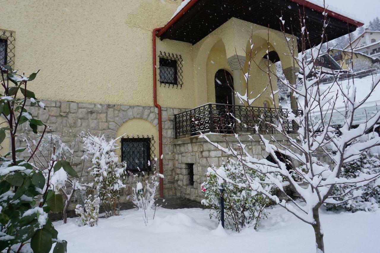 Vila Leonida - Resort Leonida Buşteni Εξωτερικό φωτογραφία
