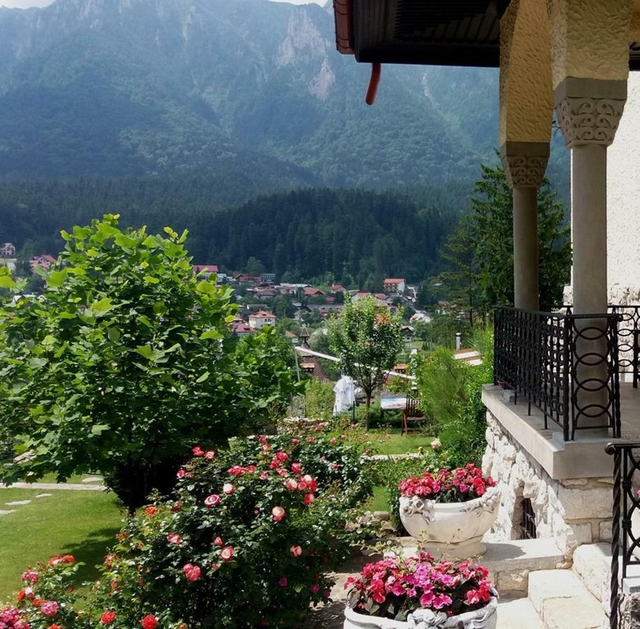 Vila Leonida - Resort Leonida Buşteni Εξωτερικό φωτογραφία